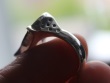 Owl face ring