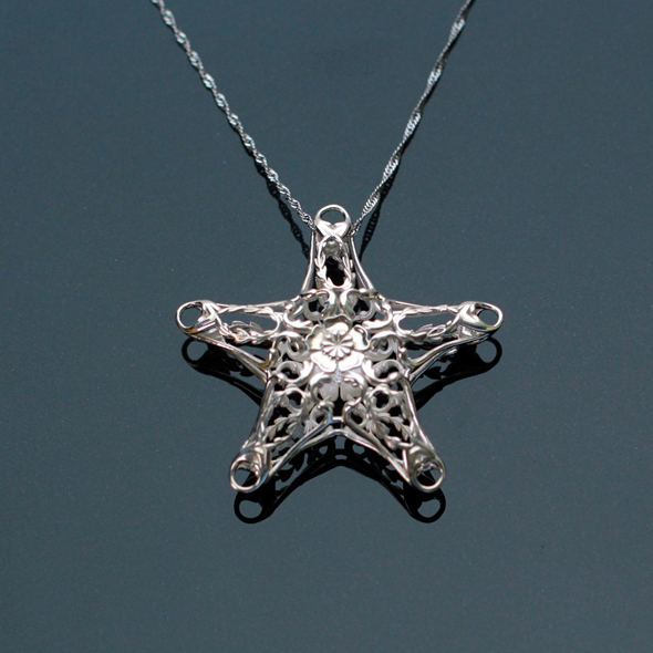 The star necklace designed for his wife