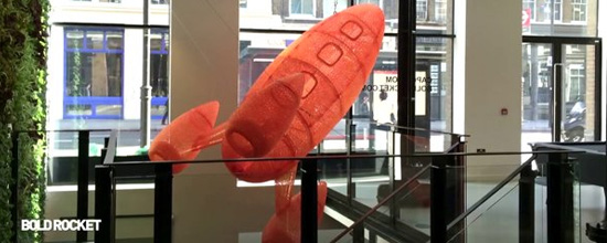 The Launch of a 3D Printed Rocket