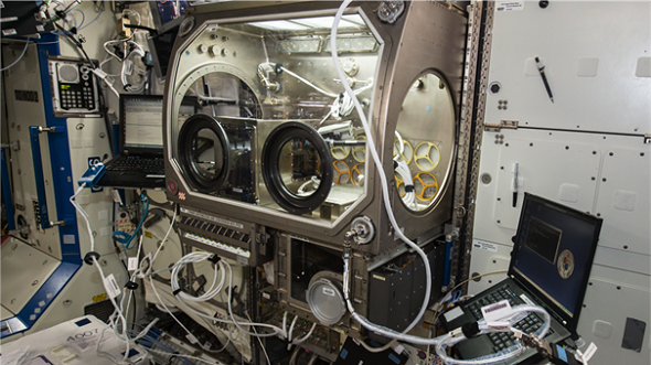 3D Printer in the Microgravity Science Glovebox on the ISS (photo credit: NASA)