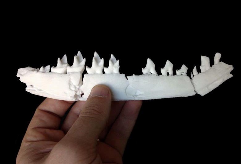 3D Printed Fossil by Dr. Roger Close
