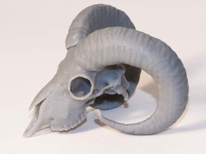 3d-printed-skull-animal