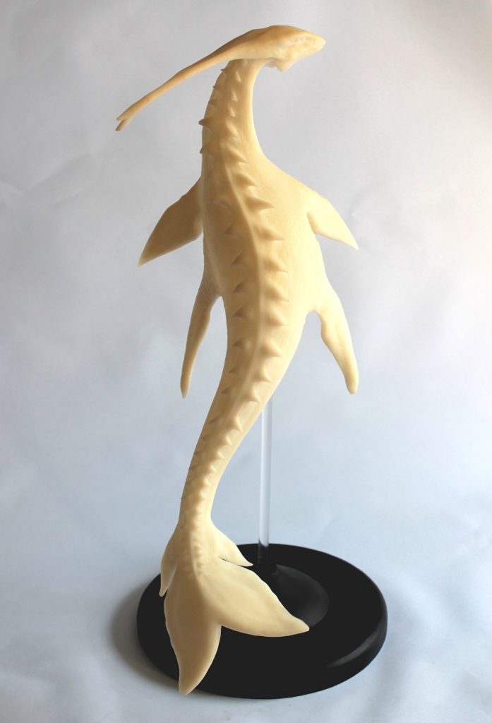 3d-printed-sea-monster