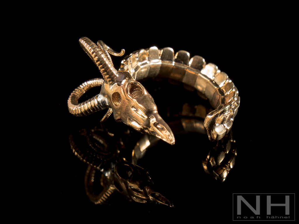 Драгоце 3 ые. Драгоценности. 3d бижутерия. PNG A Ring with Goat Skull.