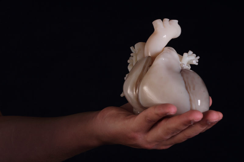 A hand holds a white 3D-printed model of a humanheart.