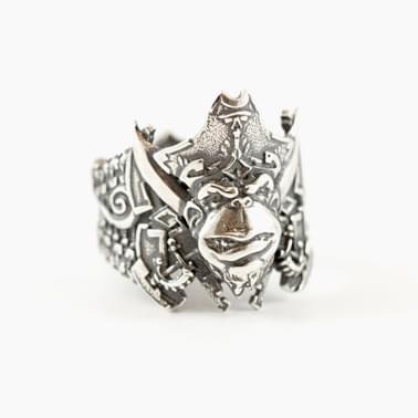 The Ring of The Monkey Pirate King by Ben Dansie