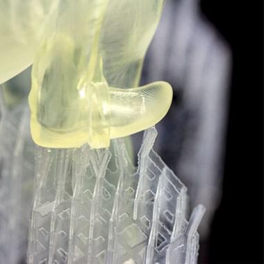 Dino Rider by Bert De Niel