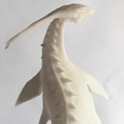 Sea Monster by Amy Doran