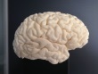 High-resolution 3D-Print of Human Brain