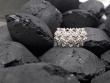 Thorns and Flowers Ring