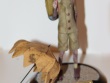 Custom explorer figurine