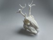 Jackalope