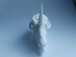 Fanged Unicorn Skull