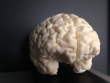 High-resolution 3D-Print of Human Brain