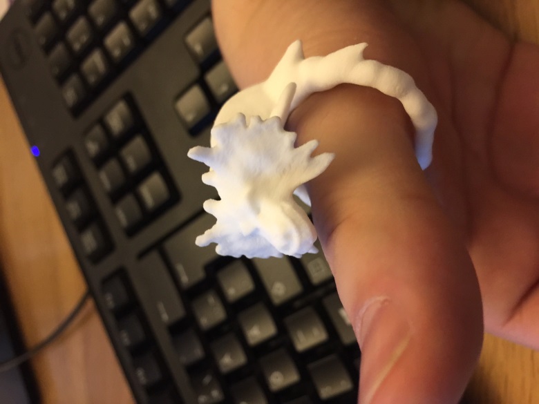 The dragon ring