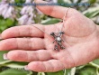 Lucifer Sigil Human Skull and Bone Memento Mori Gothic Pendant Halloween Pentagram Valentine's Witch Necklace Jewelry