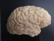 High-resolution 3D-Print of Human Brain
