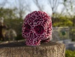 Skull reaction diffusion