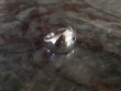 Cave Ring