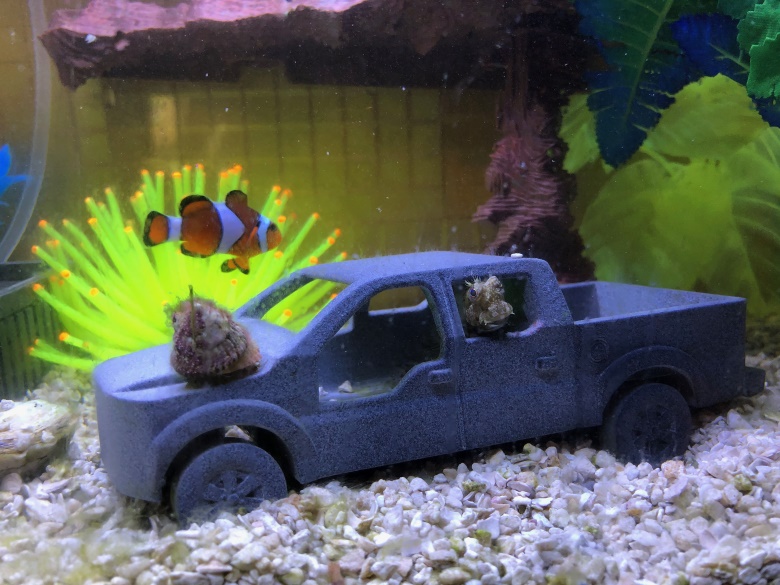 Pickup Aquarium Décor | 3D Printing Shop |