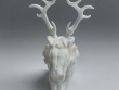 Jackalope