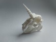 Almiraj Skull