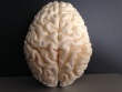 High-resolution 3D-Print of Human Brain