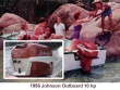 Vintage 1950s Johnson Outboard and tank