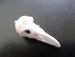 Mutant Crow Skull (small pendant)