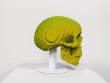 Voxelized Skull - Color Shifting Illusion