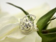 Silver Nautilus Ring - Silver Shell Jewellery - Size US 7