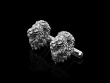 Lion Cufflinks No.1