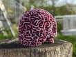 Skull reaction diffusion