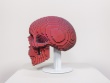 Voxelized Skull - Color Shifting Illusion