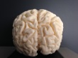 High-resolution 3D-Print of Human Brain