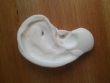 Human Ear