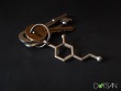 Dopamine Key