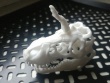 Unicorn T-Rex