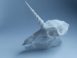 Fanged Unicorn Skull