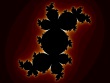 Ginger Fractal