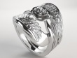 Angelwing rose